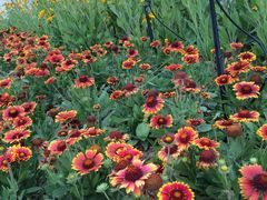 -米悦量贩式KTV(悦海新天地店)