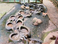 -成都市活水公园