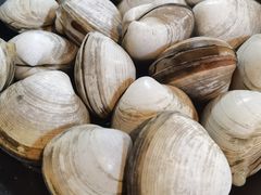 白蚬子-丹东特色烤肉(南光三部店)