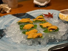 -月龍吟(朝龙汇店)