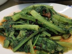 油麦菜-九號渔港·蒸汽海鲜·粤菜茶点(八卦岭店)