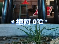 -德福楼咖啡吧(德福巷店)