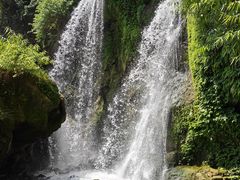 -滴水岩森林公园