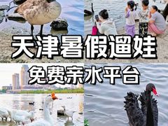 -天津水上公园