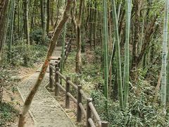 -上海佘山国家森林公园天马山园