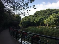 -月亮湾公园