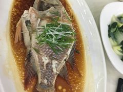 -新苑酒家(嘉宾路店)