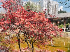 -华雅花园大酒店