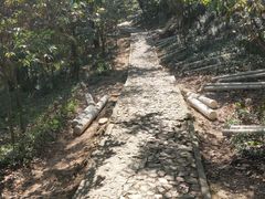 -上海佘山国家森林公园天马山园