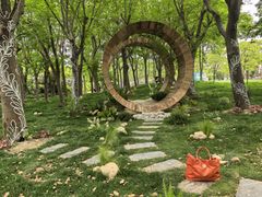 -上海鲜花港