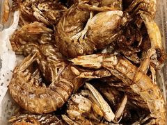 -宾朋海鲜特色美食餐厅·纯手工鲅鱼水饺(兴海路店)