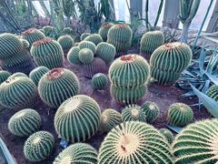 -北京植物园-展览温室