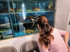 -碗中海·蒸汽海鲜·桑拿鸡(岭南天地店)