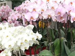 -兰陵国家农业公园