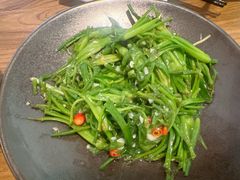 清炒水性杨花-紫滇源云南生态菜(丹凤街店)