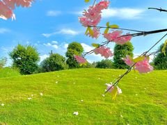 -武汉紫薇都市田园