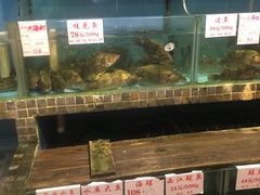 -味可道美食坊(福基路店)