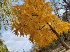 -元大都城垣遗址公园