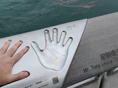 -星光大道