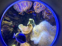 -太平洋海底世界