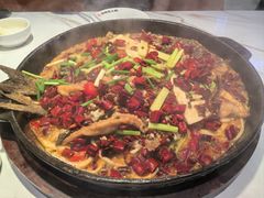 -老板恋上鱼(高新万达店)