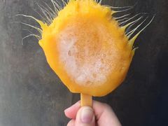 -哈利波特魔法世界