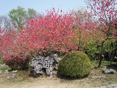 公园-上海市龙华烈士陵园
