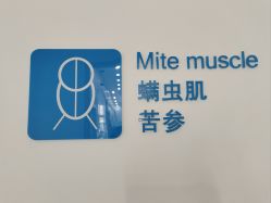 -靓芙泉专研痘痘肌