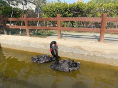 -南戴河国际娱乐中心