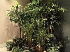 -丽思卡尔顿酒店泳池(金融街店)