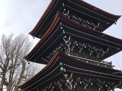 -医王山·飞騨国分寺