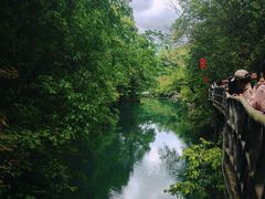 -石台牯牛降景区