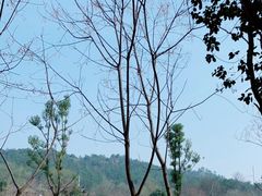 -黄陂区野村谷景区