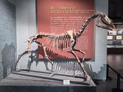 -齐齐哈尔市博物馆