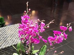 -黔蘑菇四季餐厅(观山湖店)