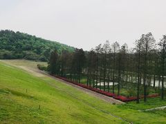 -南京市无想山景区