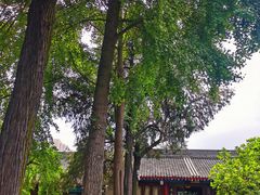 -万寿八仙宫