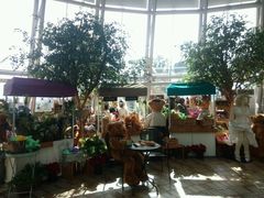 android_upload_pic-济州岛泰迪熊博物馆