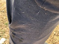 -北京东方普罗旺斯薰衣草庄园