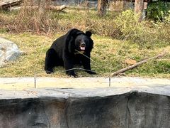 -武汉动物园