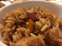-新同乐鱼翅酒家(美丽华店)