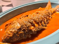 红烧黄河鲤鱼-阿五黄河大鲤鱼(纬三路店)