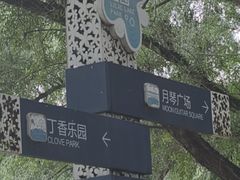 -丁香湖公园