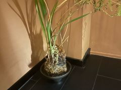 -泰·菩提树下[泰式按摩x精油SPAx肩颈头疗](新景店)