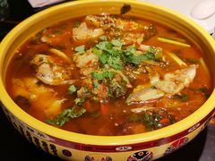 耗儿鱼-陈麻婆豆腐总店