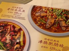 -沸腾鱼乡(知春路分店)