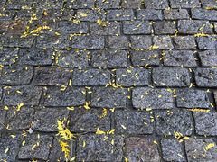 -波士顿昆西市场