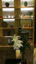 -永琪美容美发全国直营连锁