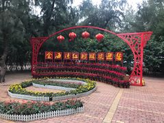 -北海金海湾红树林生态旅游区