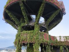-芒洲湿地公园